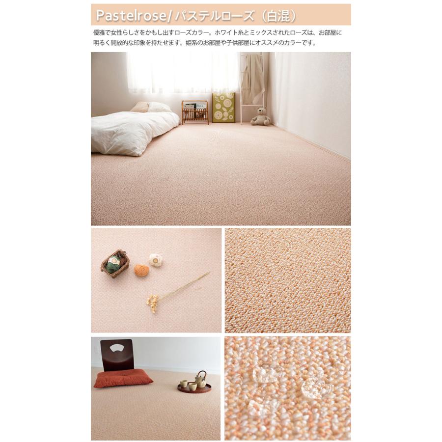 カーペット 江戸間 10畳 約352×440cm ラグ はっ水 防炎 防ダニ 抗菌