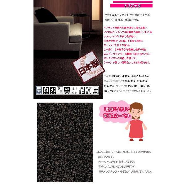 USED カーペット 6畳 六畳 防汚カーペット ラグ 本間 6帖(286×382) 絨毯 東リ トリアック 【1050113708】(37628円)