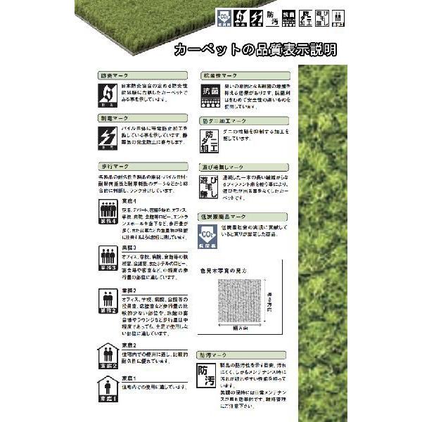カーペット 6畳 六畳 防汚カーペット ラグ 中京間 6帖(273×364) 絨毯 東リ レモード3_1