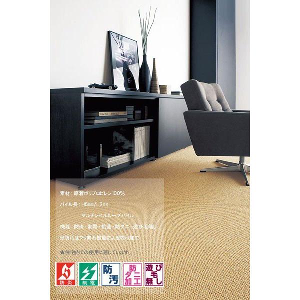 カーペット 六畳 6畳 防ダニカーペット ラグ 江戸間 6帖(261×352) 絨毯 