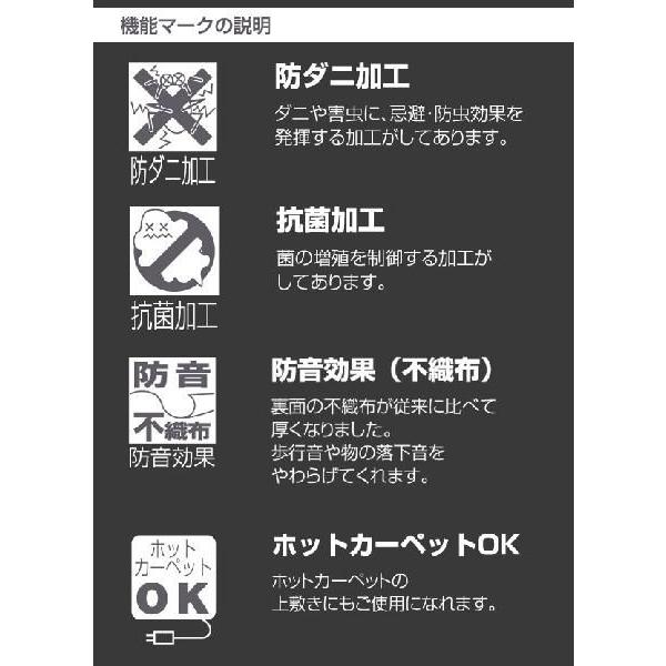 カーペット デザインカーペット 8畳 カーペットラグ モダン 日本製 MODERN DEAP｜nakane｜03