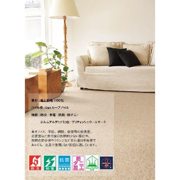 カーペット 12畳 ラグ マット 防ダニカーペット 十二畳 12畳(364×546) 中京間 東リ クラフトジャーニー