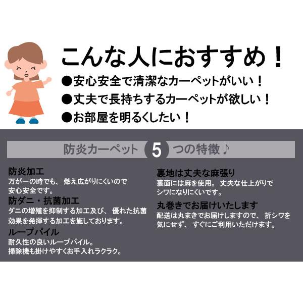 ダイニングラグ 240×330 防炎 8人掛け用 防ダニ 抗菌 絨毯 ラグマット おしゃれ 安い 無地 長方形 じゅうたん 子供部屋 マイルド｜nakane｜03