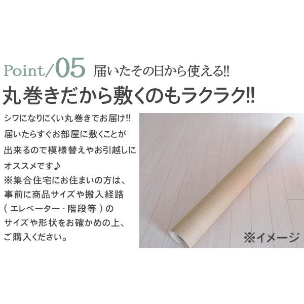 ダイニングラグ 防汚 ラグ 6人掛け用 220X250 撥水 防ダニ 抗菌 防炎 多機能16色ラグ じゅうたん 日本製 ライム2｜nakane｜08