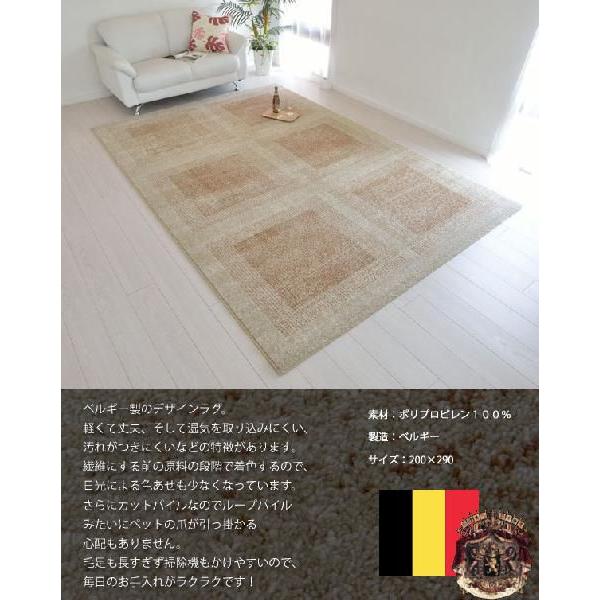 ACTUS アクタス 北欧 ラグ カーペット 140×200 床暖房 モダン