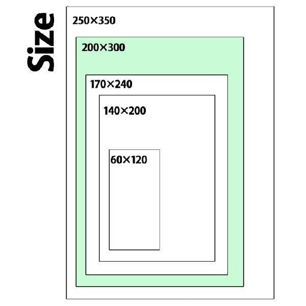 カーペット ラグ マット 輸入絨毯 斬新なシャギーラグ 200×300 LIGNE PURE adore｜nakane｜06