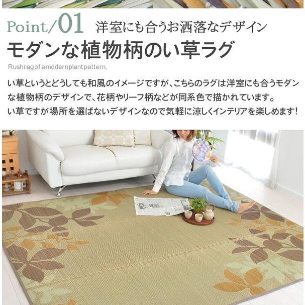 専用出品　2点まとめ売りラグマット観葉植物インテリア 楽天市場】ラグ カーペット ラグマット 絨毯 ウィルトン キリム