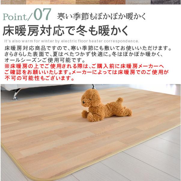 ラグマット 140×200cm ペットOK 犬用 猫用 水洗いOK 抗菌 防炎 床暖房対応 クリーンロボ｜nakane｜09