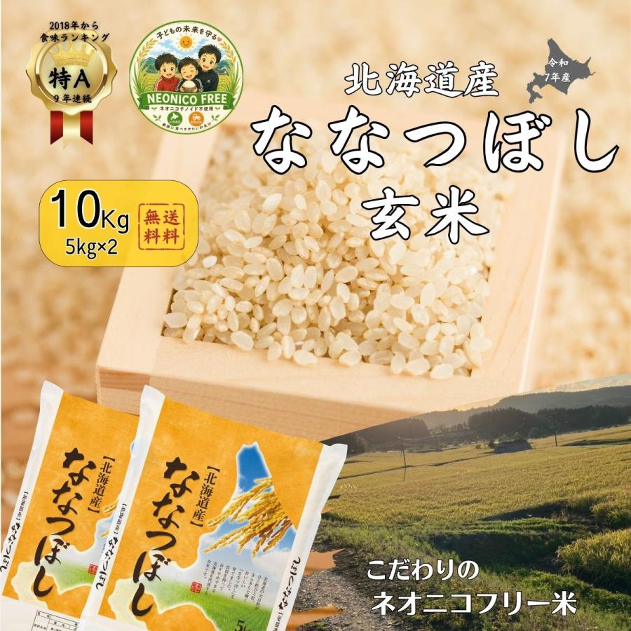 ななつぼし お米 北海道産 米 玄米 10kg（5kg×2袋）5kg 令和7年産 送料