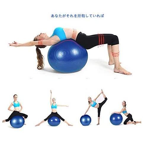 バランスボール A Leaf 55cm 65cm 75cm 85cm ダイエット ヨガボール エクササイズボール トレーニング Dlsbzkrvvf フィットネス トレーニング Www Pci Edu Pe