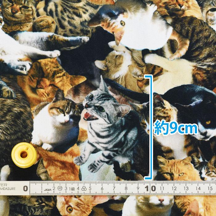 ネコちゃん大集合 オックス インクジェットプリント リアルプリント