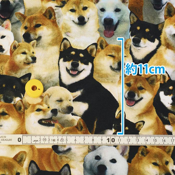 ワンちゃん大集合 オックス 柴犬 インクジェットプリント リアル  