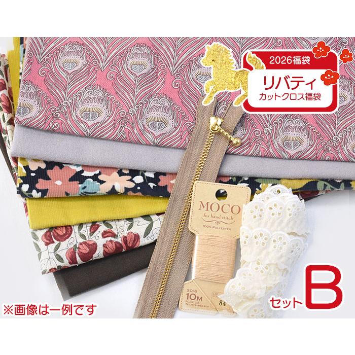 福袋2026 リバティ・ファブリックス カットクロス福袋 Bセット 2026年