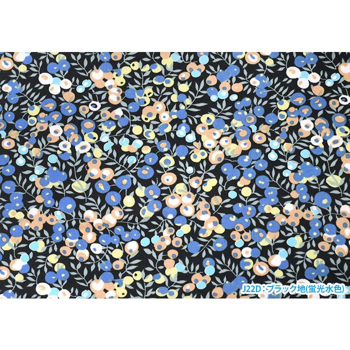 リバティプリント Wiltshire ウィルトシャー 3339009N J22A J22D