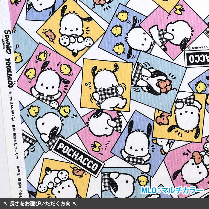 1998年　非売品❓　サンリオキャラクターボックス　EIKOH ポチャッコ 1998年 非売品❓ サンリオキャラクターボックス EIKOH