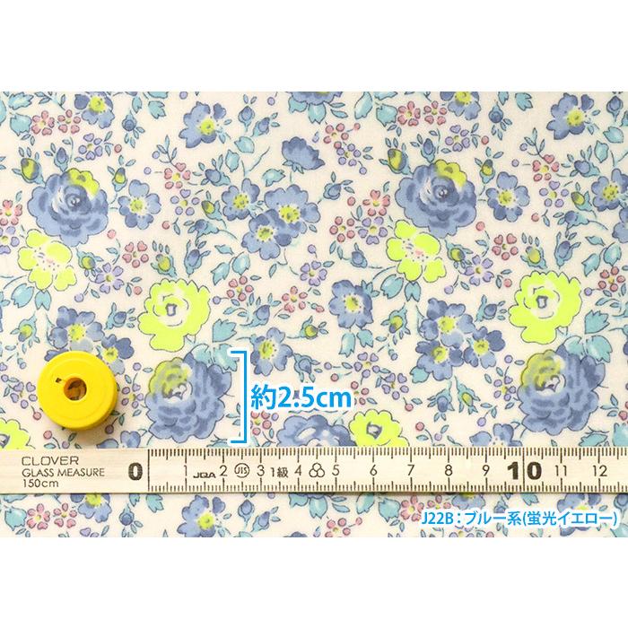 リバティプリント ラミネート Felicite フェリシテ 生地 布 数量3(30cm