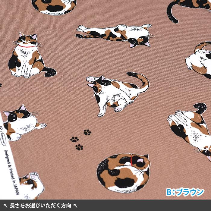 みけねこ オックス 猫 猫柄 ネコ ネコ柄 ねこ柄 にゃんこ 三毛猫