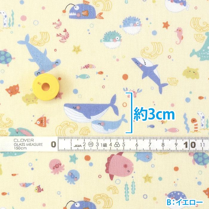 Nuance Kids うみのいきもの CBプリント オーシャン うみのいきもの柄