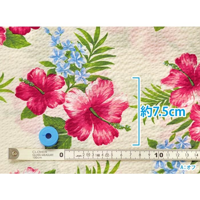 ハイビスカスリップル 19夏向き生地 コットン100 生地 布 H 7008 2 H 7008 2 ホビー家コテツ 通販 Yahoo ショッピング