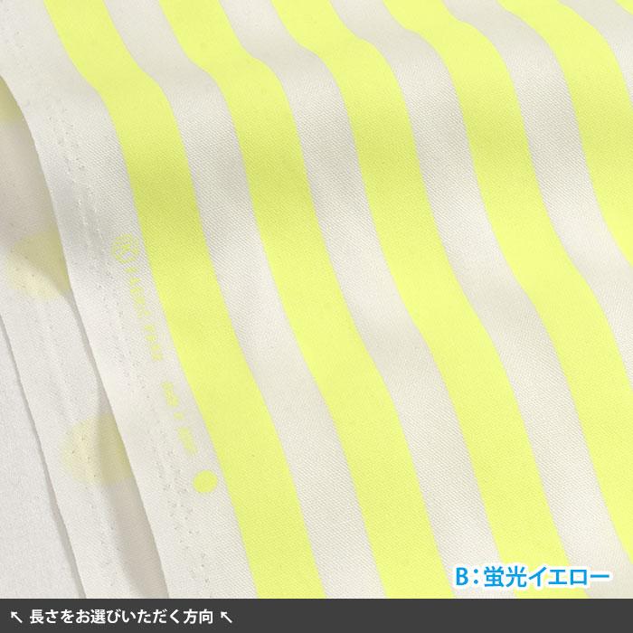 ネオンカラー ストライプ＆ドット オックス ストライプ柄 ドット柄