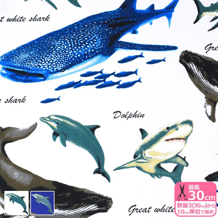 Cool Ocean Friends オックス 魚 魚柄 サメ サメ柄 ウミガメ ウミガメ