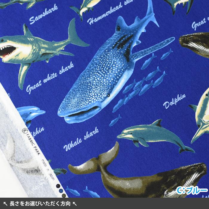 Cool Ocean Friends オックス 魚 魚柄 サメ サメ柄 ウミガメ ウミガメ