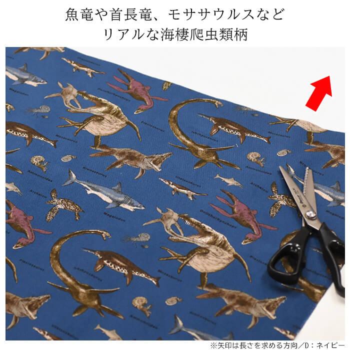 海竜 コットンツイル 海棲爬虫類 魚竜 首長竜 モササウルス メガロドン 