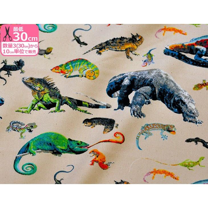 コットンツイル リアル爬虫類プリント 綿100 110cm巾 生地 布 Kts6611 コモドドラゴン カメレオン トカゲ ハチュ Kts6611 手芸 生地 洋裁のホビー家コテツ 通販 Yahoo ショッピング