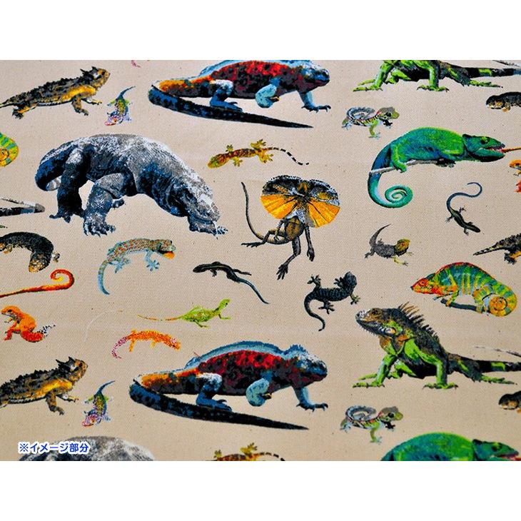 コットンツイル リアル爬虫類プリント 綿100 110cm巾 生地 布 Kts6611 コモドドラゴン カメレオン トカゲ ハチュ Kts6611 手芸 生地 洋裁のホビー家コテツ 通販 Yahoo ショッピング