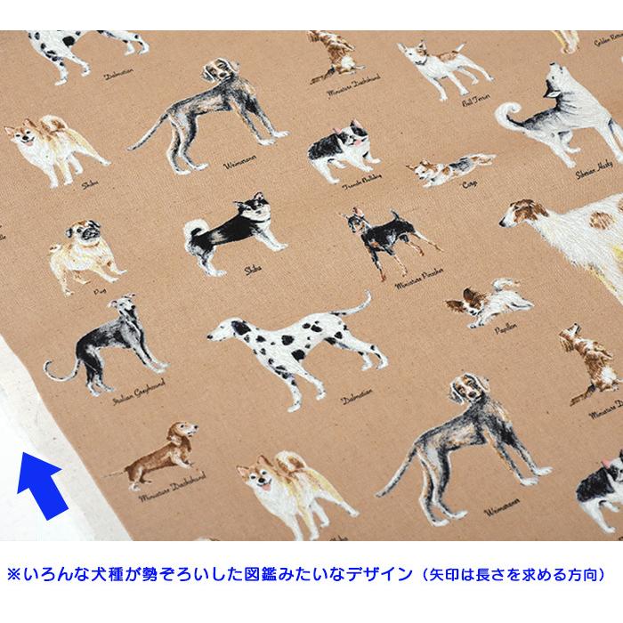 世界の犬 ピクチャーブック 綿麻キャンバス Kts6801 いろんな犬種と名前 いぬ図鑑 イヌ柄 ドッグ ボルゾイ ミニピンetc 数量1は10cm お買い物かごは3から Kts6801 手芸 生地 洋裁のホビー家コテツ 通販 Yahoo ショッピング