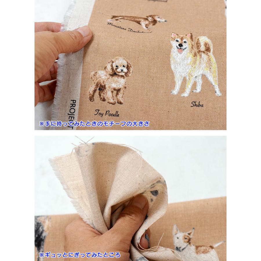世界の犬 ピクチャーブック 綿麻キャンバス Kts6801 いろんな犬種と名前 いぬ図鑑 イヌ柄 ドッグ ボルゾイ ミニピンetc 数量1は10cm お買い物かごは3から Kts6801 手芸 生地 洋裁のホビー家コテツ 通販 Yahoo ショッピング