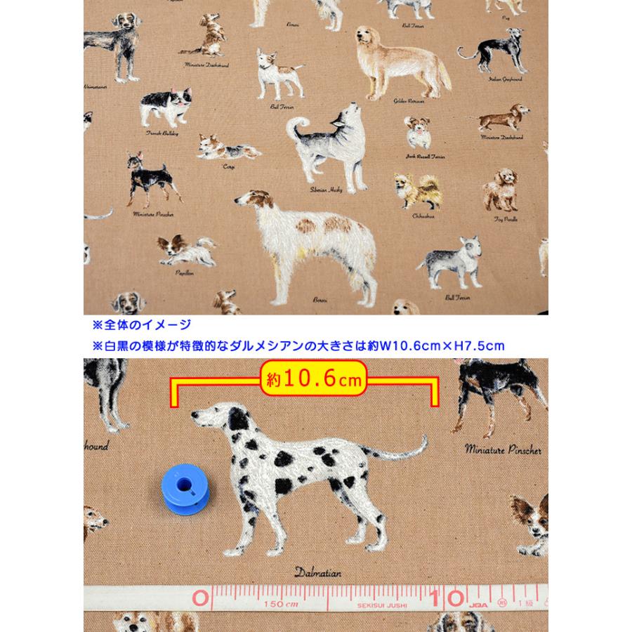 世界の犬 ピクチャーブック 綿麻キャンバス Kts6801 いろんな犬種と名前 いぬ図鑑 イヌ柄 ドッグ ボルゾイ ミニピンetc 数量1は10cm お買い物かごは3から Kts6801 手芸 生地 洋裁のホビー家コテツ 通販 Yahoo ショッピング
