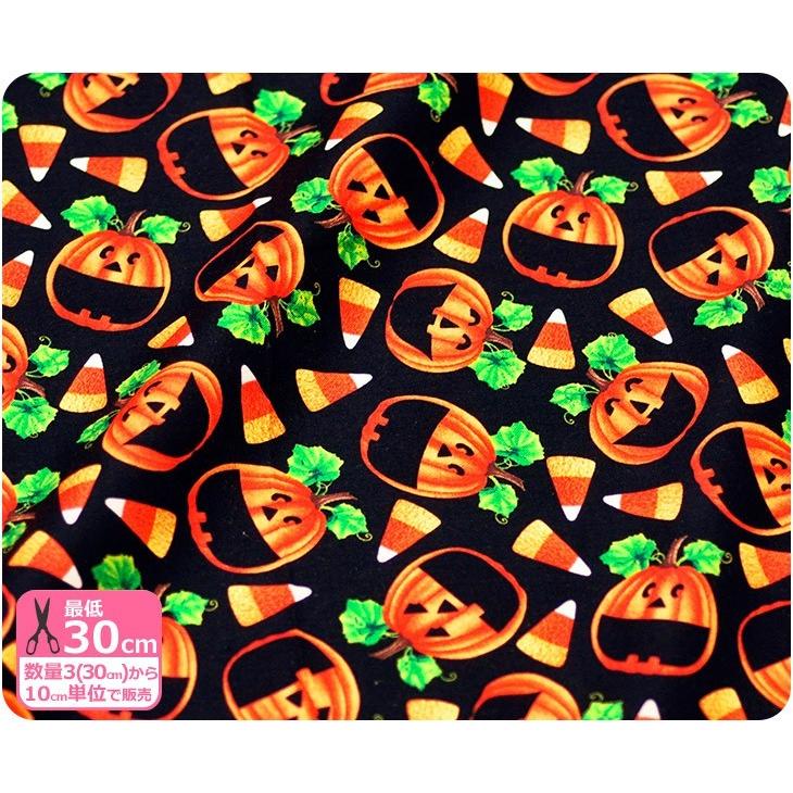Usaコットン ハロウィンプリント Whitchy Poo ウィッチープー Rjr Fabrics ジャックランタン Rjr350107 3 ホビー家コテツ 通販 Yahoo ショッピング
