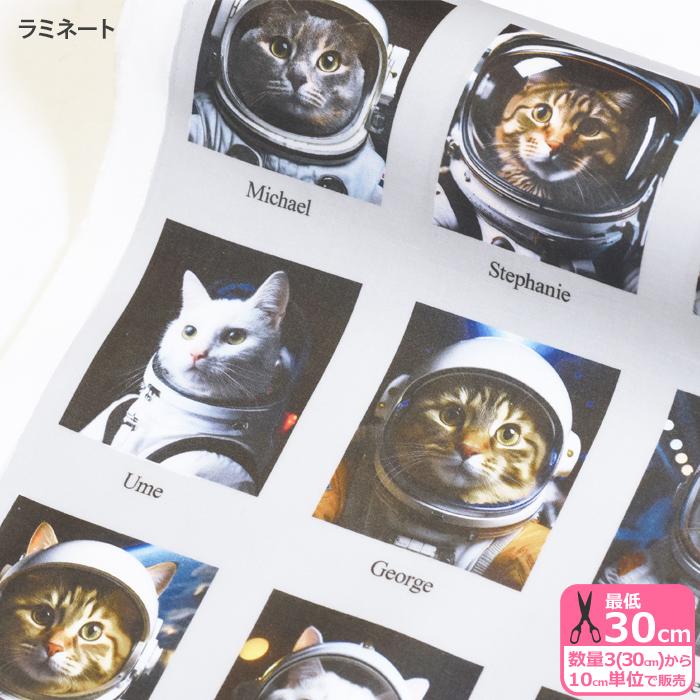 ラミネート Space Cat 猫柄 猫 ネコ柄 ネコ にゃんこ にゃんこ柄 宇宙
