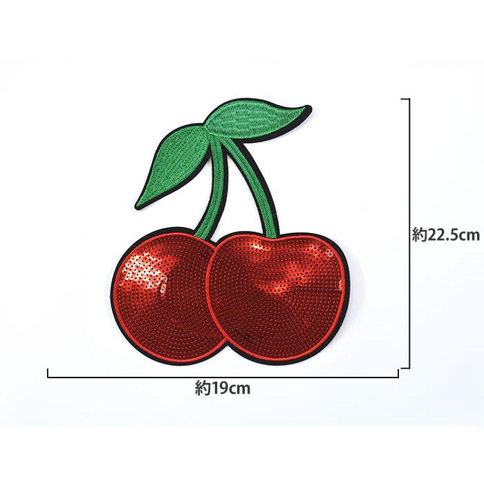 1.さくらんぼスワッグ Hot Selling Special Car Shock Absorbers WG1608430287