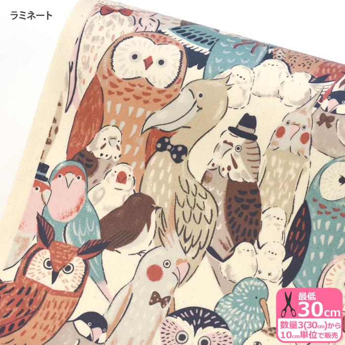 ラミネート Powerful animal フクロウと小鳥 オックスラミネート