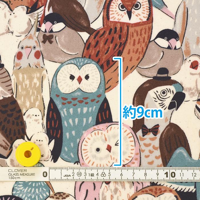 ラミネート Powerful animal フクロウと小鳥 オックスラミネート
