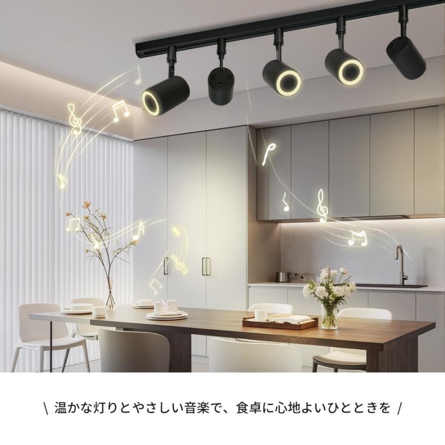 ダクトレール スピーカー レール用 Bluetooth スピーカー付きライト