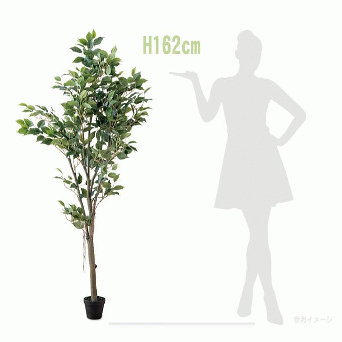 送料無料　フィカスツリー　観葉植物　フェイクグリーン 大型　H162cm 人工植物｜nakasa