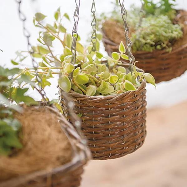 送料無料 ハンギングバスケット S・L （丸・四角・円柱）寄せ植えかご