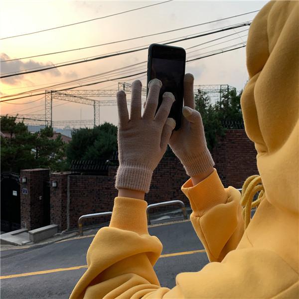 手袋 レディース スマホグローブ 裏起毛 最高級 かわいい 暖かい おしゃれ グローブ あったかい 防寒 送料無料 上品 通勤 女性用 バイク 運転 防風 保温 自転車