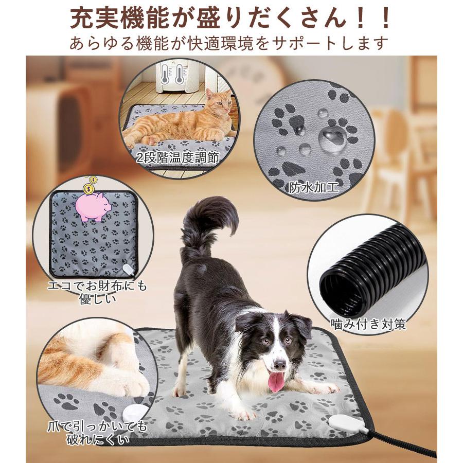 保温シートLYN反射防水、防風保温レスキューオートキャンプ雪道ペット用 Amazon.co.jp: ELUTENG サバイバルシート ツェルト 台風対策