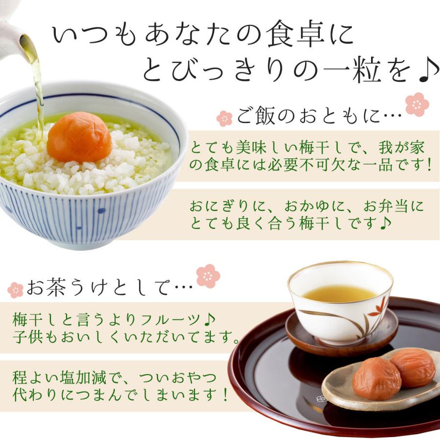 梅干し 父の日 紀州産 南高梅 しらら 1kg (500g×2) 塩分5％ 中田食品 うめぼし 梅干 ギフト プレゼント 和歌山県産｜nakatafoods｜03