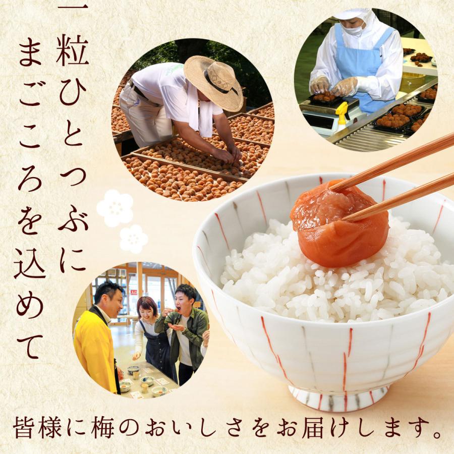 梅干し 梅かつお 1kg 中田食品 かつお 梅干 紀州 南高梅 うめぼし ご飯のお供 和歌山県産 塩分11％｜nakatafoods｜04