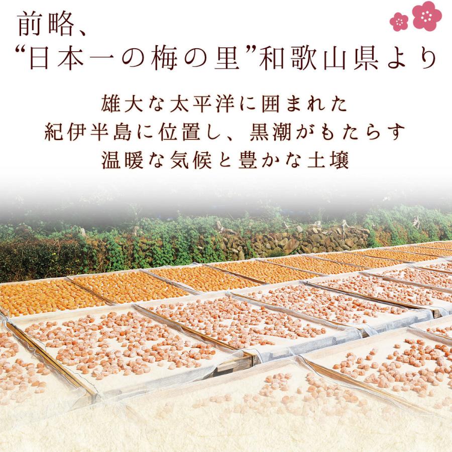 梅干し 母の日 2024 中田食品 紀州の梅八選 60g×8種 お試しセット 南高梅 はちみつ 田舎漬 減塩 ラッピング｜nakatafoods｜02