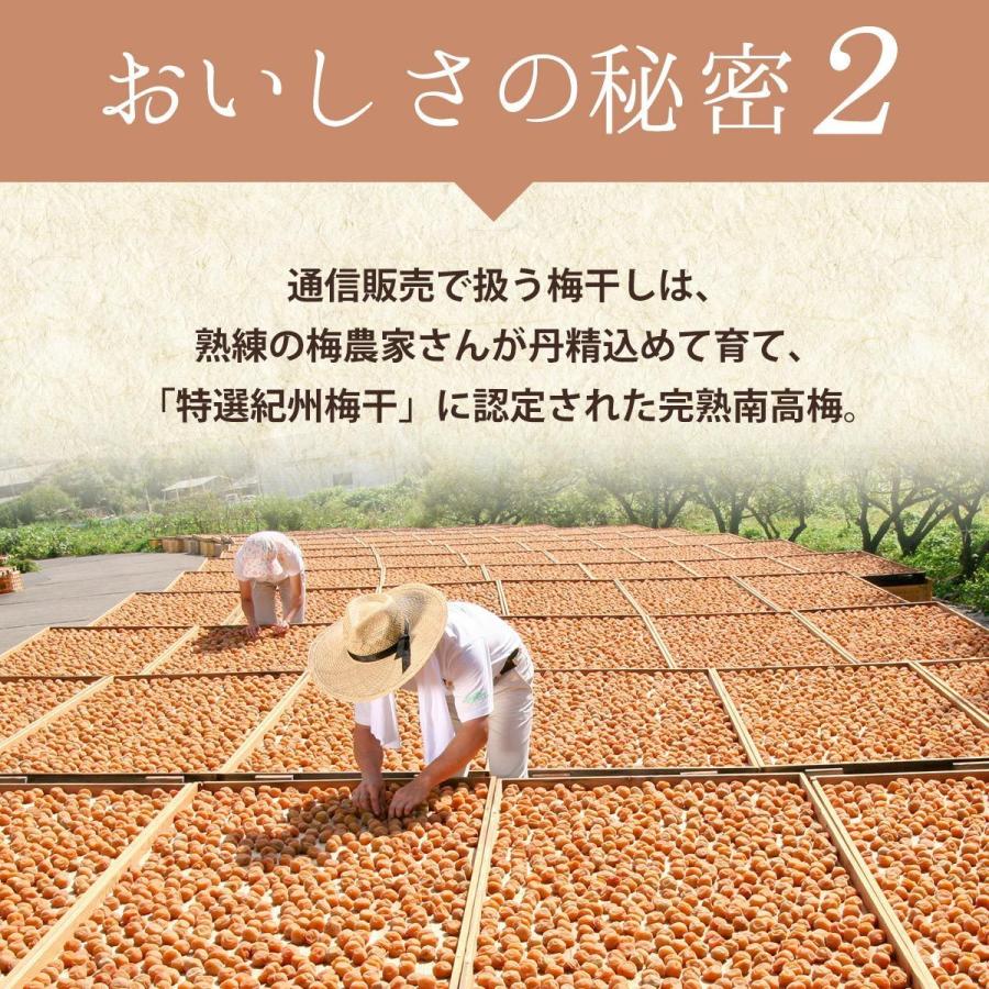 梅干し 母の日 2024 中田食品 紀州の梅八選 60g×8種 お試しセット 南高梅 はちみつ 田舎漬 減塩 ラッピング｜nakatafoods｜08