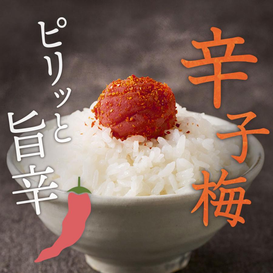 わんたろう出品　秋田県産　梅漬け　250gを10袋　明日発送 中田食品 梅干し 辛子梅 400g ご飯のお供 おつまみ お試し ギフト 紀州