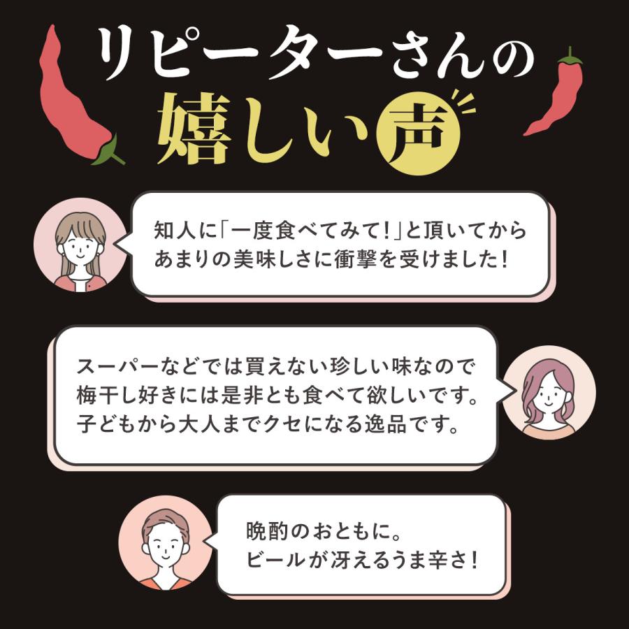 中田食品 梅干し 辛子梅 400g ご飯のお供 おつまみ お試し ギフト 紀州
