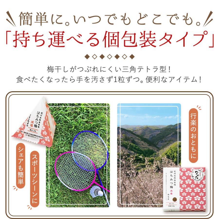 中田食品 梅干し 父の日 ギフト プレゼント はちみつ梅 減塩 個包装