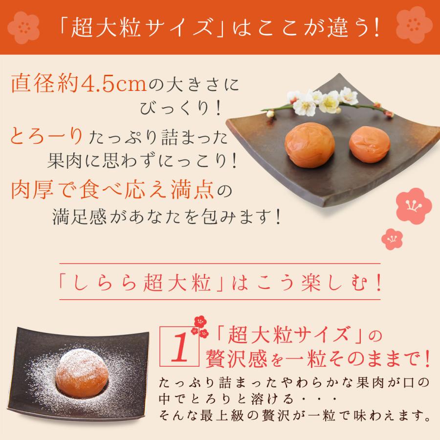 完売しました】梅干し しらら超大粒 550g 塩分5% 減塩 中田食品 紀州南高梅 梅干 お取り寄せグルメ 和歌山県産 うめぼし 送料無料 :1120: 紀州梅の里なかた Yahoo!店 - 通販 - Yahoo!ショッピング 完売しました】梅干し しらら超大粒 550g 塩分5% 減塩 中田食品 紀州南高梅 梅干 お取り寄せグルメ 和歌山県産 うめぼし 送料無料 :1120: 紀州梅の里なかた Yahoo!店 - 通販 - Yahoo!ショッピング